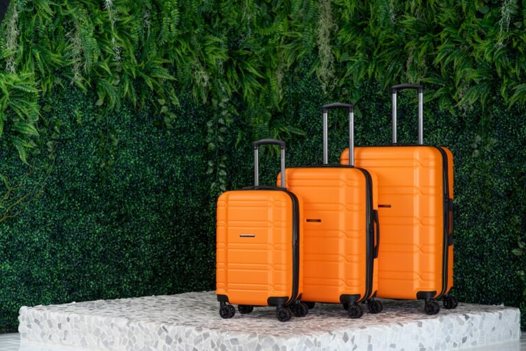 Eco-Friendly Travel Supplies for Sustainable Explorations